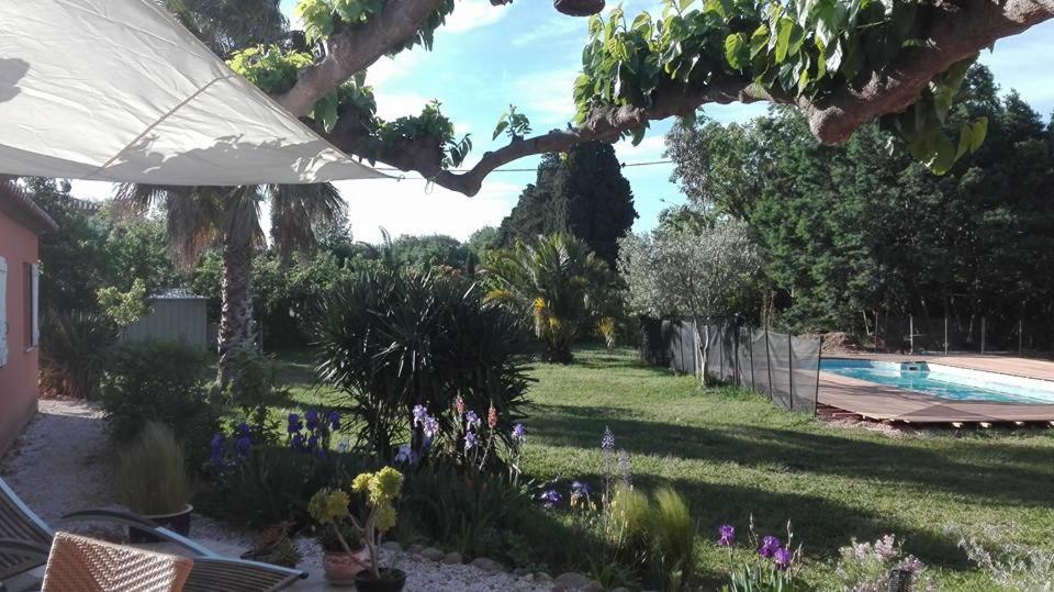 Gite Mas Uranie Le Soler 外观 照片
